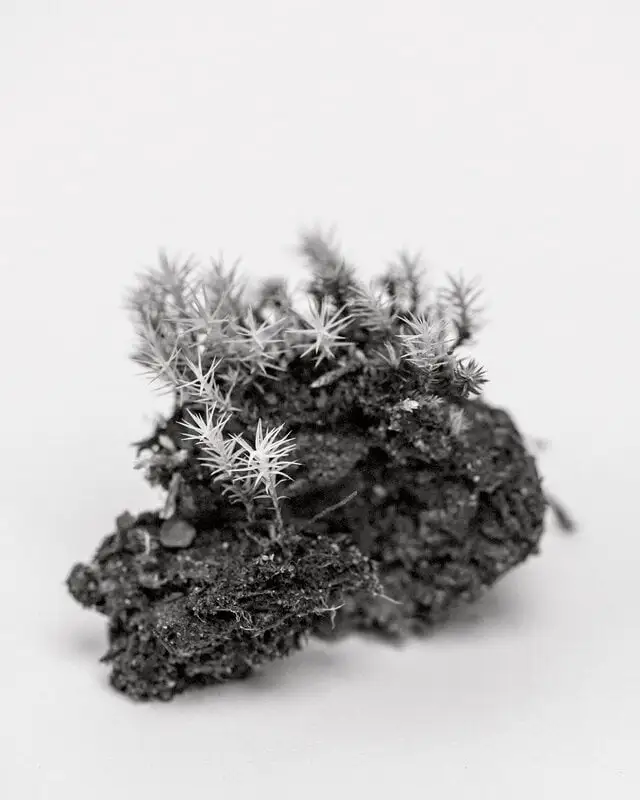 Kehrer Verlag 100 Hectares Of Understanding – Bild 6