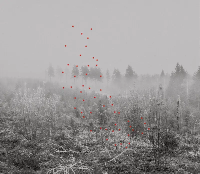 Kehrer Verlag 100 Hectares Of Understanding – Bild 5