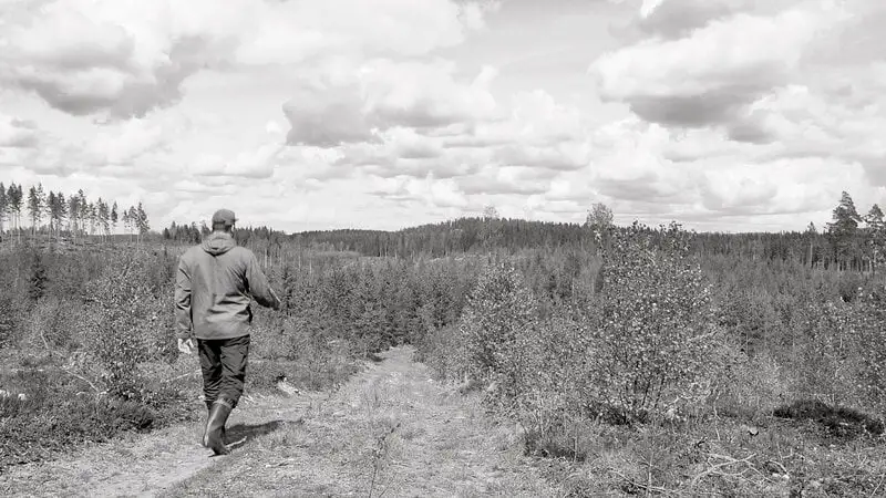 Kehrer Verlag 100 Hectares Of Understanding – Bild 2