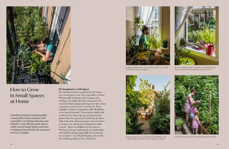 Gestalten Stadt Gärten: Die Wachsende Begeisterung Für Urban Farming – Bild 6