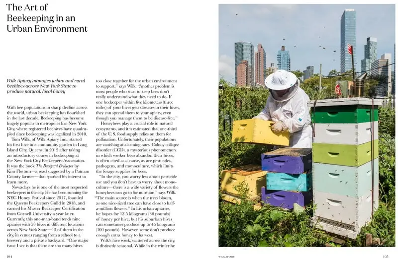 Gestalten Stadt Gärten: Die Wachsende Begeisterung Für Urban Farming – Bild 5