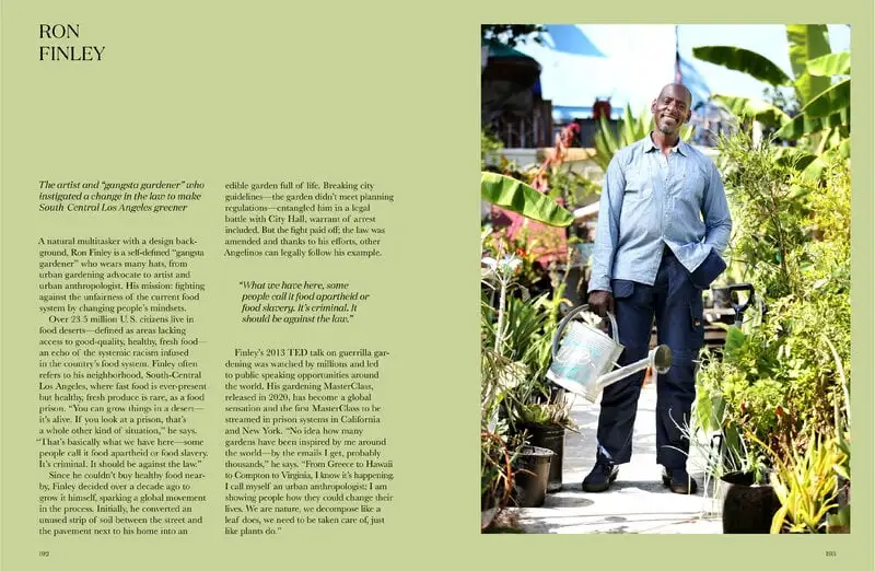 Gestalten Stadt Gärten: Die Wachsende Begeisterung Für Urban Farming – Bild 4