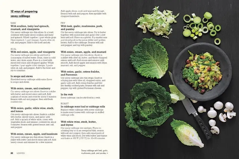 Gestalten Junges Gemüse – Bild 2